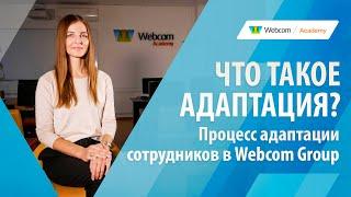 Что такое адаптация? Процесс адаптации сотрудников в Webcom Group