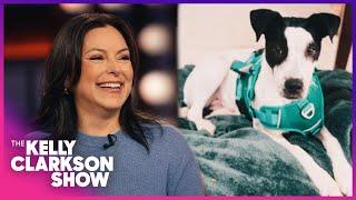 Kelly Clarkson Loves Dallas Dog Daycare With Namesake Rescue Pup!