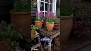 Растения для пряного сада #идеидлясада #сад #озеленение #garden #дача #цветы #ландшафтныйдизайн