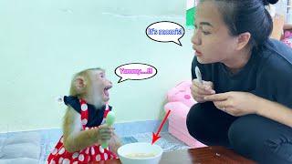 Monkey Lyly accidentally ate her mother's food because she mistook it for her own food.