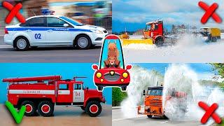 Cars with flashing lights for kids. Service transport for children