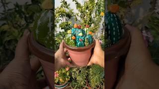 DIY Cactus from Roadside Stones #diy #craft #cactus