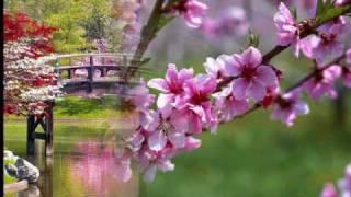Լավ Էլի - Գարուն է եկել | Lav Eli - Spring Has Come