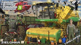 HARVESTING PEAS, TRANSPORTING PALLETS & MULCHING FIELD | ZIELONKA | Farming Simulator 25 | Episode 7