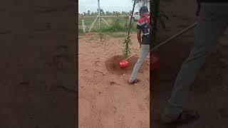 Backpack Brush Cutter // Weeder Attachment.