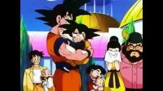 Goku Says Goodbye