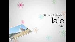Tiv - lale [ Greenbelt Garden ]  BMSで花便り (Flower News in BMS) 