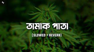 Tamak Pata [ Slowed × Reverb ] Ashes Bangladesh | Bangla Lofi Music | Slowed World