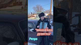 Вишнёвая девятка #гармонь #баян #баянист #топ #хит #ретро