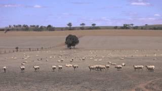 Andrew recites: From 'The Never Never Land' by Henry Lawson