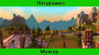 [Натуралист] 1 серия  -  Мулгор → World of Warcraft Classic