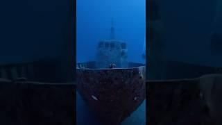 Scuba Diving on the Wreck of Kyrenia in Cyprus