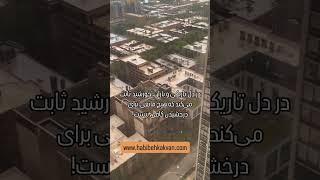 کسب درآمد خونگی بدون هیچ تجربه قبلی