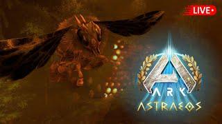 Bringing home the HONEY from the Astraeos Bee Cave Part 7 | Ark Survival Ascended