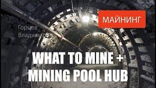 WHAT TO MINE и MINING POOL HUB