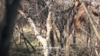 Raised Hunting (Season 1 Episode 7 "Brothers") Two Brothers Harvest Big Iowa Buck