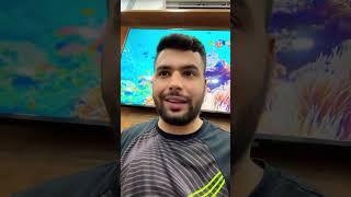 القطط الشيرازية قد! ((((قد))) تحمل بعض الأمراض الوراثية و مشاكل في الانجاب