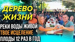 БИБЛЕЙСКАЯ ЦЕРКОВЬ. Прими новое сердце!