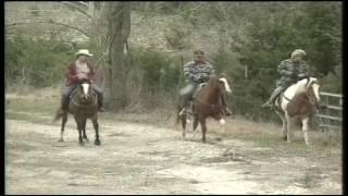 Cold case TV show in Williamson County