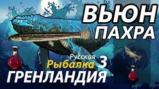 Вьюн Пахра / РР3 [Русская Рыбалка 3 Гренландия]