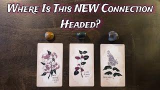  Where Is This NEW CONNECTION Headed?   Pick A Card Love Reading