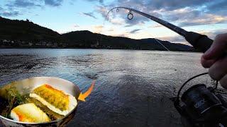 Angeln am Rhein - Über Nacht auf Wels und Zander / Catch and Cook