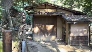 Japan Garden Ueno Tokyo National Museum 2025.02.24 Explore #tokyo #上野 #Traveler #Tour #explorer #東京