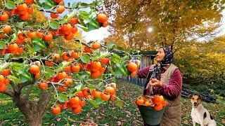 Бабушка Приготовила Полезные и Сладкие Конфеты без Сахара. Сушим Хурму на Зиму.