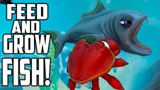 Fish feed and grow - Симулятор Рыбы Убийцы