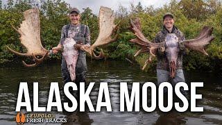 TWO GIANT Moose! | Searching For ADVENTURE! #FreshTracks