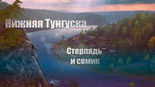 Русская Рыбалка 4 ► Russian Fishing 4 ► Нижняя Тунгуска - Сомик Амурский и Стерлядь Сибирская!