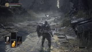 Survive Gaming: Dark Souls III With GameSurvivor And TheOneTrueDoc Part 1