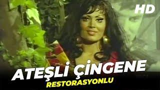 Ateşli Çingene | Türkan Şoray Eski Türk Filmi Full İzle