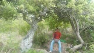 el zapoteca mayor
