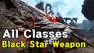 Black Desert All Classes Awakening/Succession Black Star Weapon Show case/검은사막 전 직업 검은별 비각/각성 무기 이미지