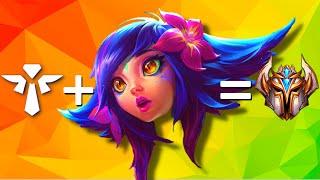 How the #1 NEEKO SUPPORT Carries in CHALLENGER