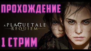 A Plague Tale: Requiem | Прохождение | 1 Стрим