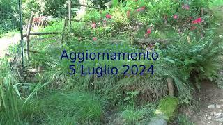 aggiornamento al 5 luglio 2024 una parte della cascina e come va l'orto ...