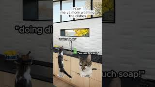 CAT MEMES  Me vs mom washing the dishes #catmemes #relatable #shorts