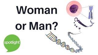 Woman or Man? | practice English with Spotlight