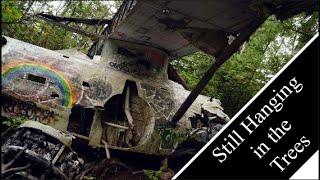 WWII Plane Crash Found and Intact! | Destination Adventure