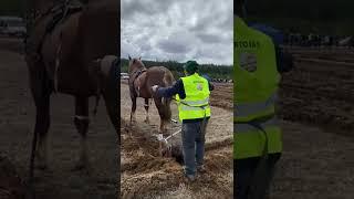 Horse plough plowing competition in Lithuanian village