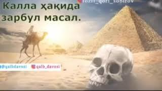 Устоз Фозил Кори Ёсин Кори Угли Хофизахуллох - Калла Хакида Зарбул Масал