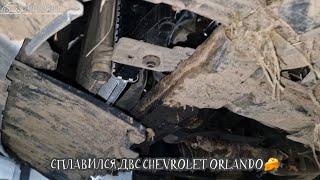 Жесть на СТО или будни автомехаников #262.Citroën на стероидахСплавился двигательСorolla на грыжах