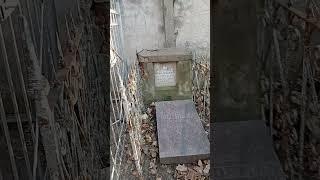 УЖАС НАЙДЕНА ТА САМАЯ МОГИЛА ЛЕГЕНДАРНОГО МАЛЬЧИКА НА СТАРОМ ЕВРЕЙСКОМ ЮЖНОМ КЛАДБИЩЕ ШОК ВИДЕОКАДР