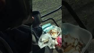 Трактор работает я чай пью#поле #работа #трактор #культивация