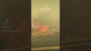 Car drives straight through Sicily wildfire #news #shorts