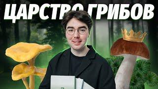 Коротко о царстве грибов | Все, что нужно знать для ОГЭ | Биология 2024 | Умскул