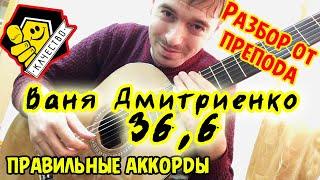 Ваня Дмитриенко - 36,6 | РАЗБОР НА ГИТАРЕ | СОВЕТЫ | АККОРДЫ