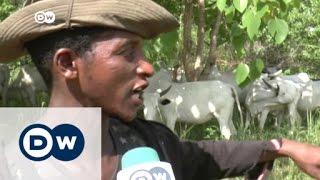 Herdsmen clash with farmers in Nigeria | DW News